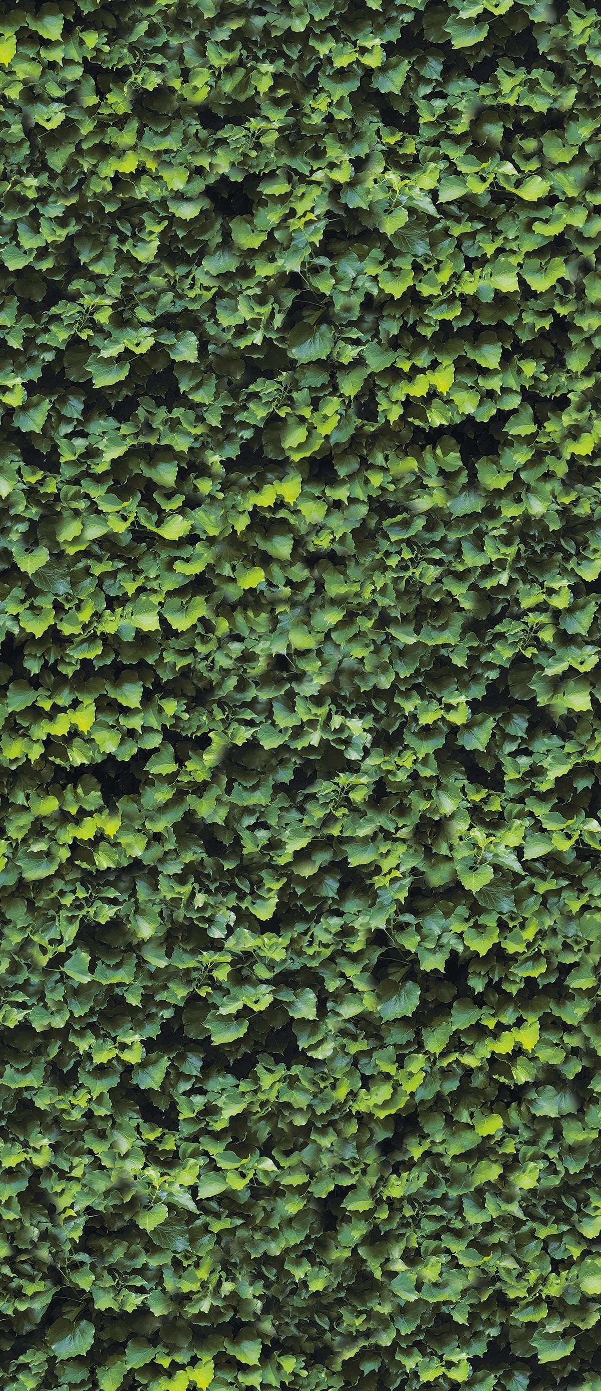 Leaf - Sample - Mobilia Stone