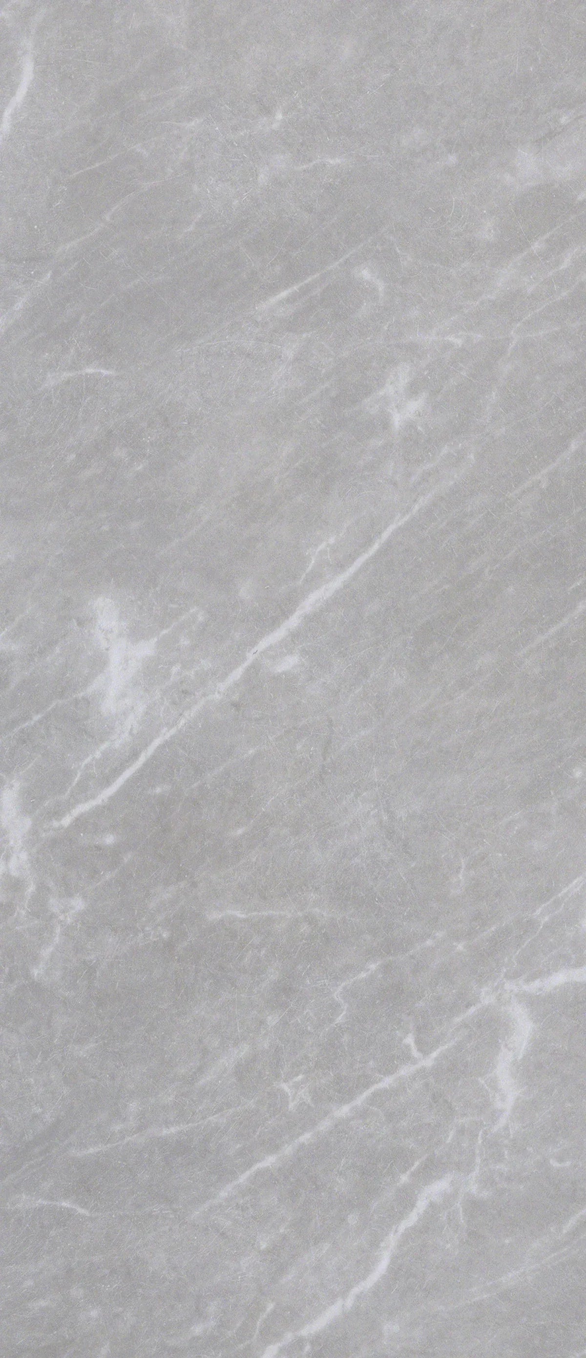 Dolore - Venice Grey Marble Tile - Mobilia Stone