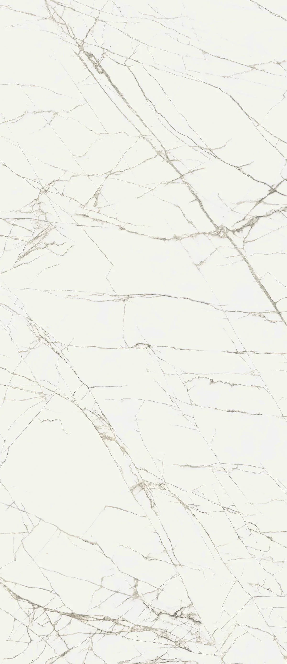 Lupo - Venice White Marble Tile - Mobilia Stone